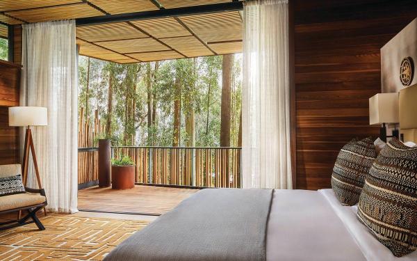Forest King Lodge
