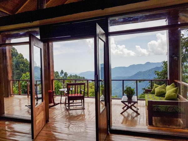 Luxury Forest Suites 
