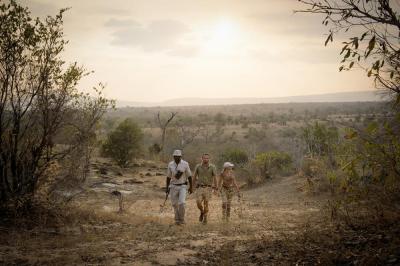 Walking wild