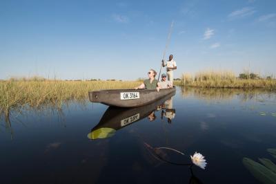 Motorboat Safaris