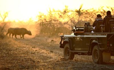 Game Drives