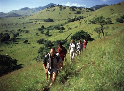 Guided Day Hikes