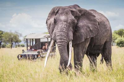Day trips to Tarangire National Park