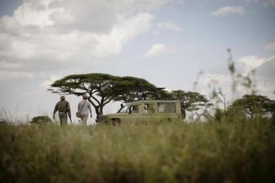 Walking safaris
