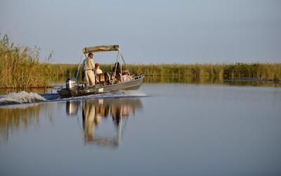Seasonal Motorized Boat Excursions 