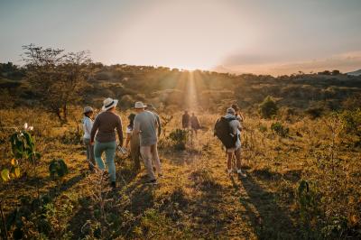 Walking Safaris