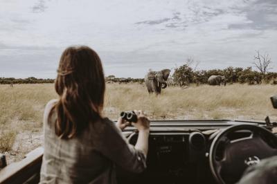 Wilderness & Olympus, A Visionary Partnership