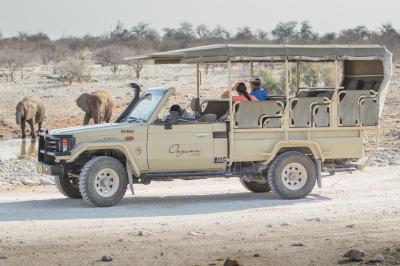 Experience Etosha Game Drives