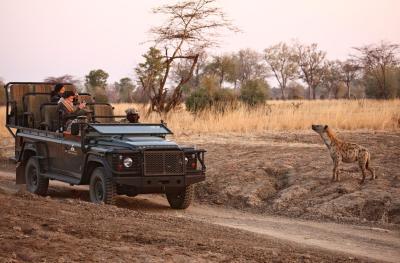 Game Drives