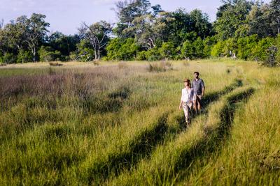Walking Safaris