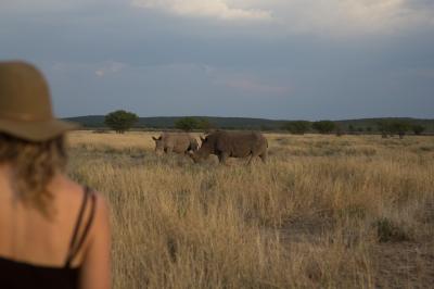 Little Ongava - Guided Nature Walks