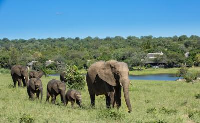 Game Drives