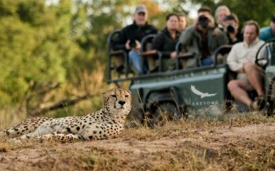 Game Drives