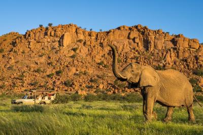 Guided Nature Drive