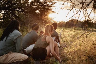 Guided Bush Walks