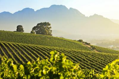 Wines of the Cape & Delaire Graff Wine Lounge