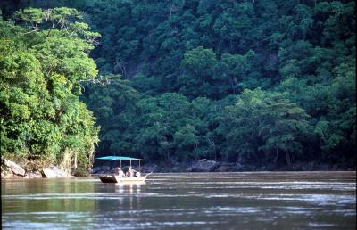 Boat safari