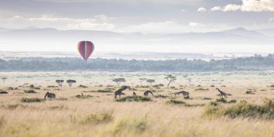 Hot air balloon  