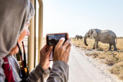 Etosha Morning & Afternoon Game Drives