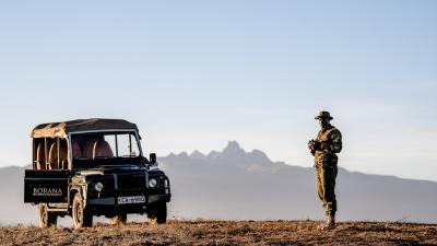 Safari Experiences