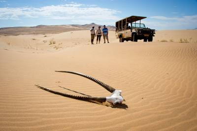 Explore the Natural Wonders of Hartmann's Valley
