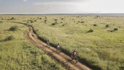 Mountain Biking