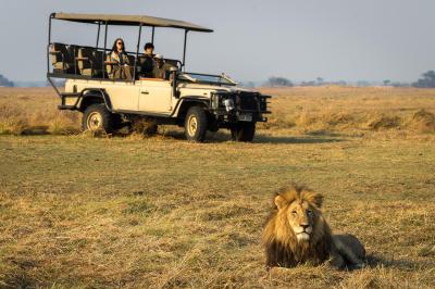 Wilderness Shumba – Game Drives