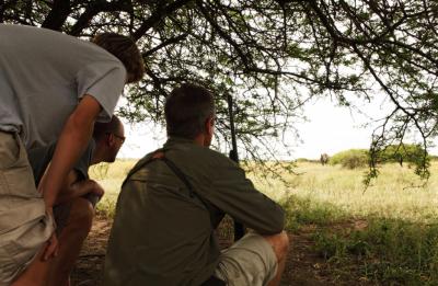 Black Rhino Tracking On Foot 