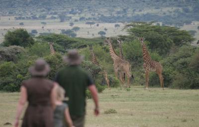 Guided Bush Walks