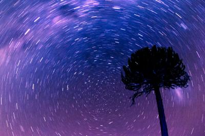 Stargazing
