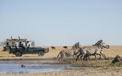 Game Drives