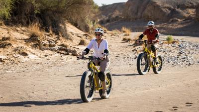 Guided Electric Fat-Wheeled Bike Excursions