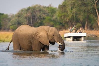 Wilderness Ruckomechi – River Cruise 
