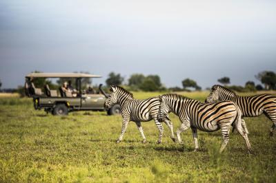 Thrilling Game Drives