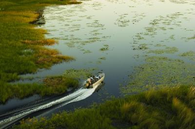 Motorboat Safari 