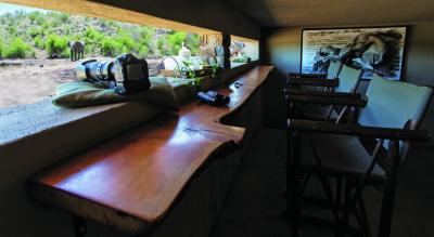 Animal Hide at Tuningi Lodge