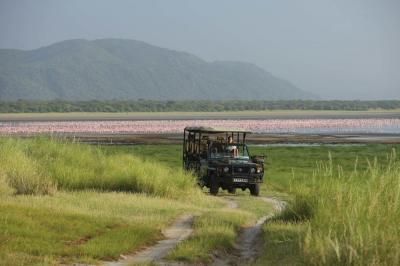Game drives