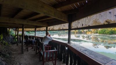 The Hide