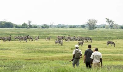 Guided Walks