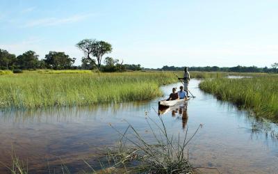 Seasonal Mokoro Trips 