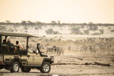 Game Drives