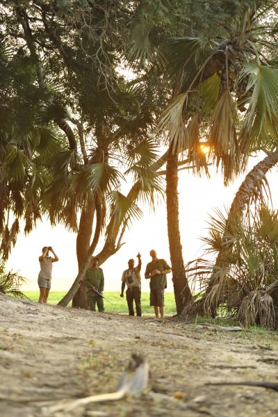 Walking Safaris