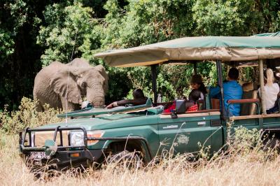 Day and night game drives