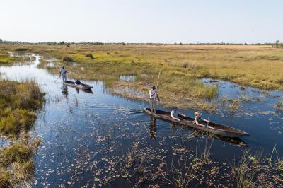 Guided Mokoro Safaris