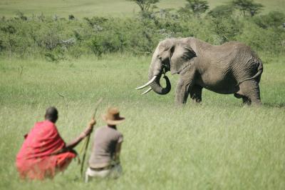 Walking safaris