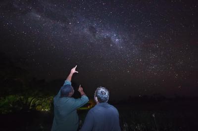 Star Gazing