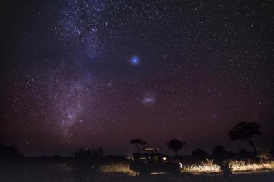 Night Game Drives