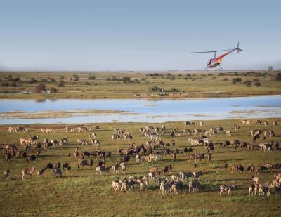 Scenic Helicopter Flights