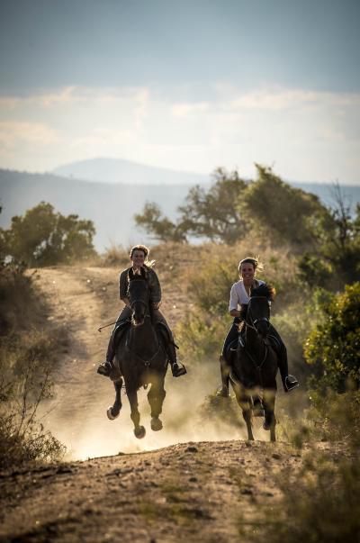Horseback Riding