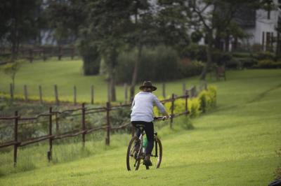 Mountain Biking